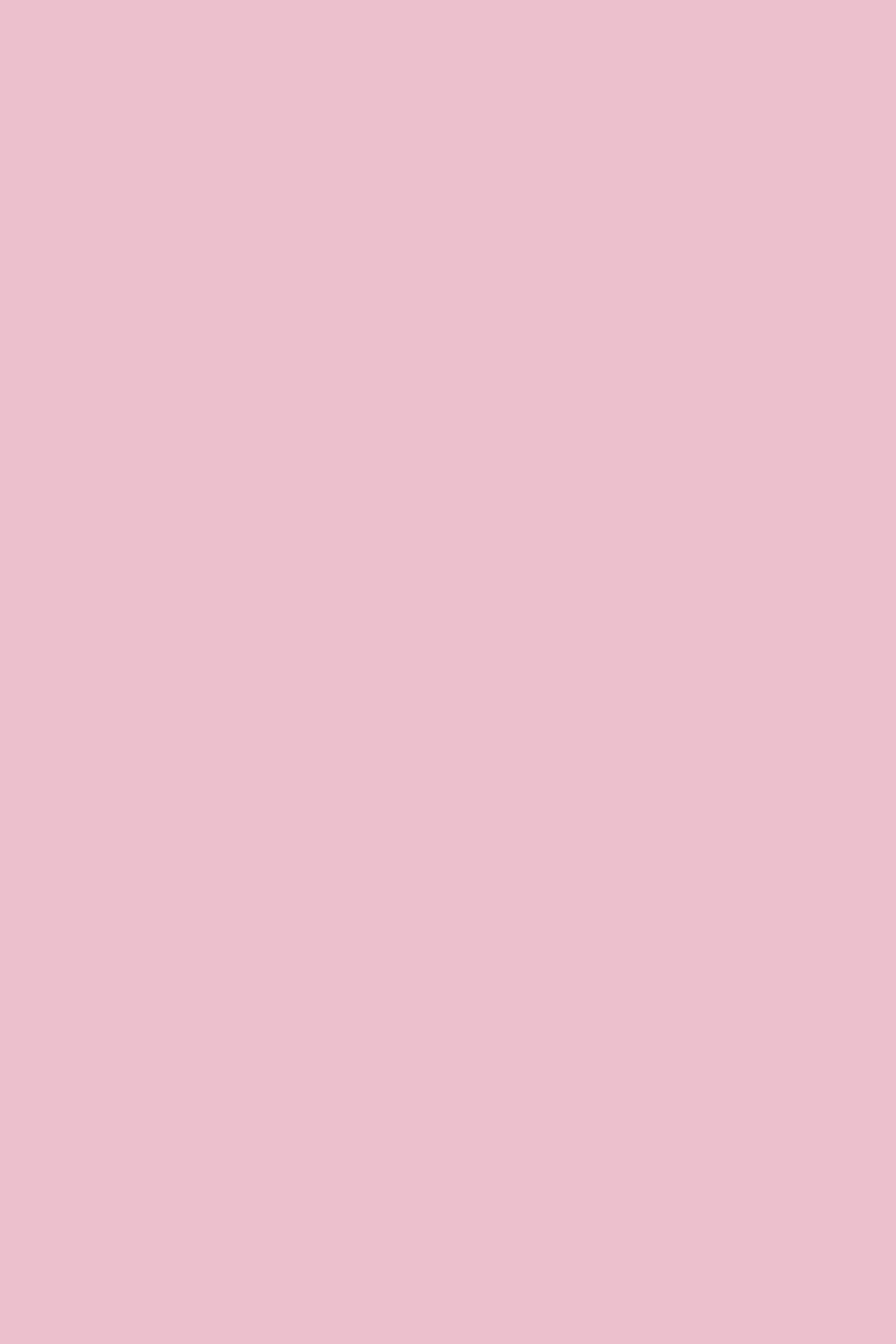 Baby Pink Handspun Pashmina Shahkaar