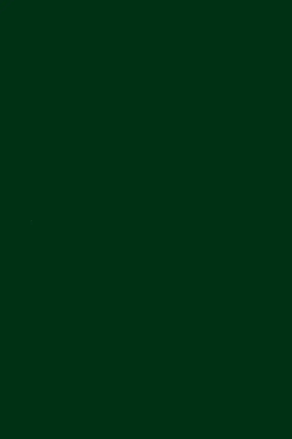 Emerald Green Handspun Cashmere Shahkaar